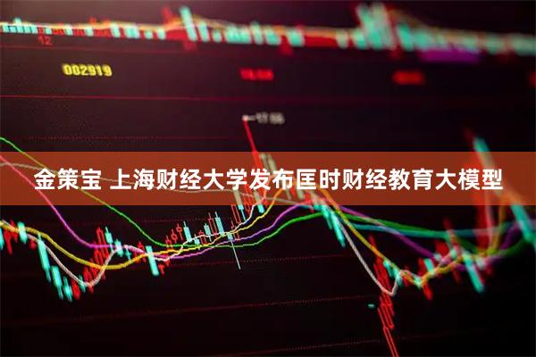 金策宝 上海财经大学发布匡时财经教育大模型