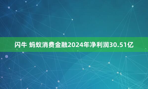 闪牛 蚂蚁消费金融2024年净利润30.51亿